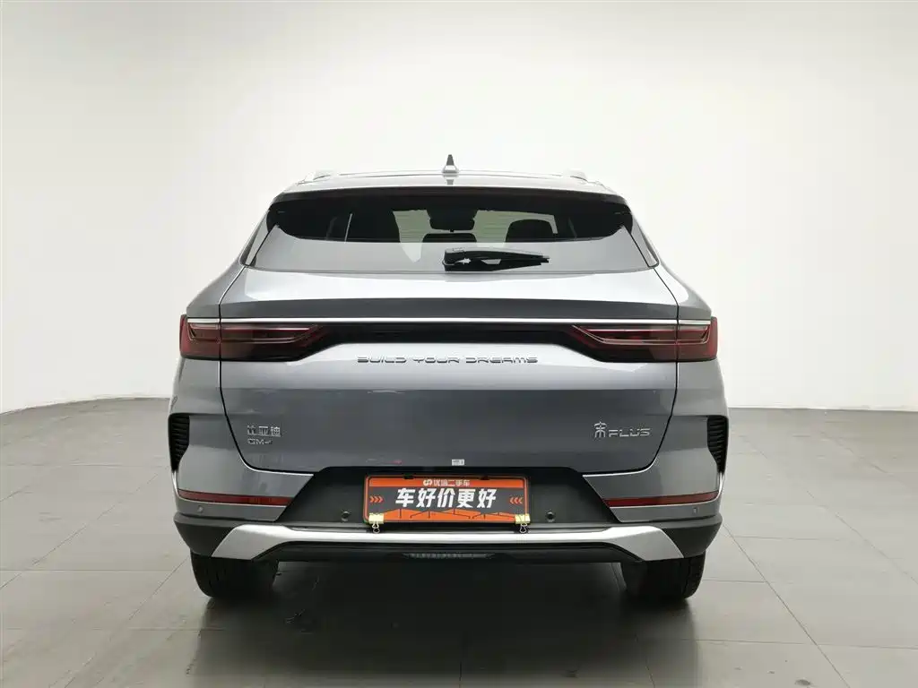 BYD PLUS New Energy 2023 — фото 4