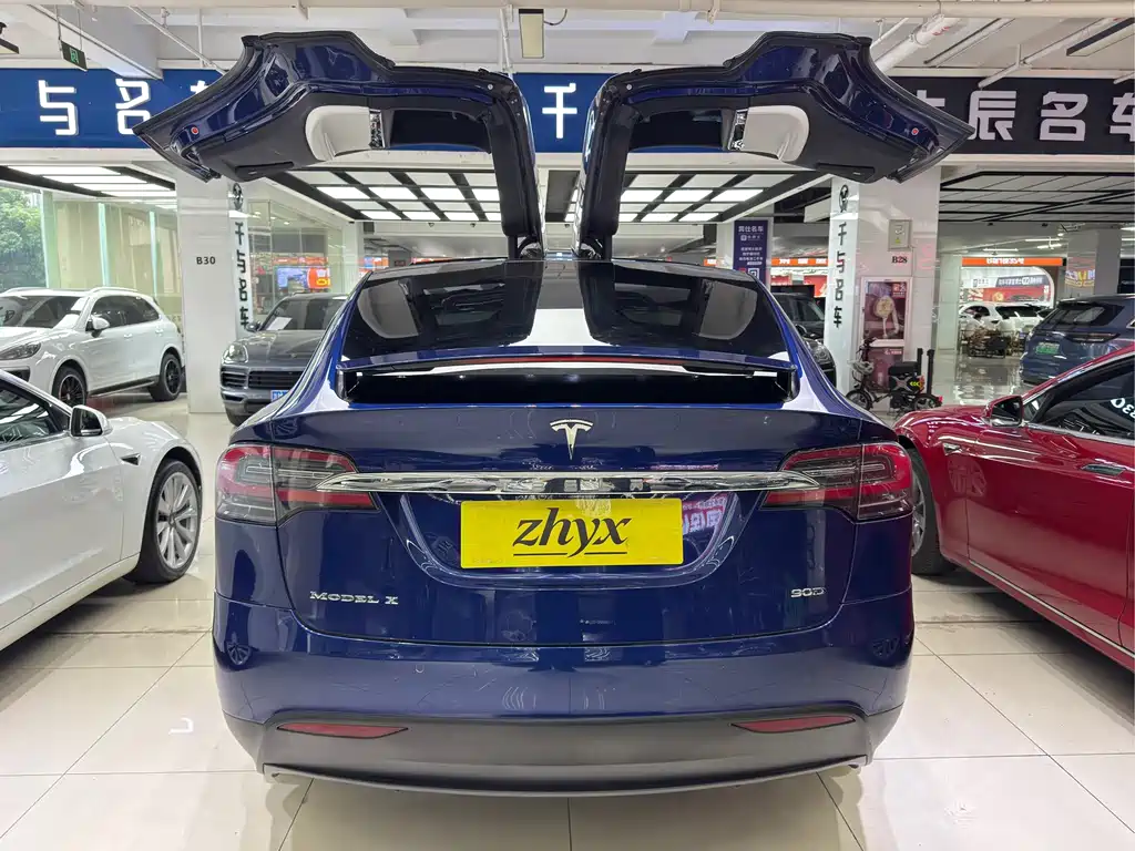 Tesla Model X 2017 — фото 5