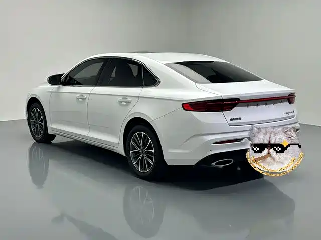 Geely Xingrui 2023 — фото 14