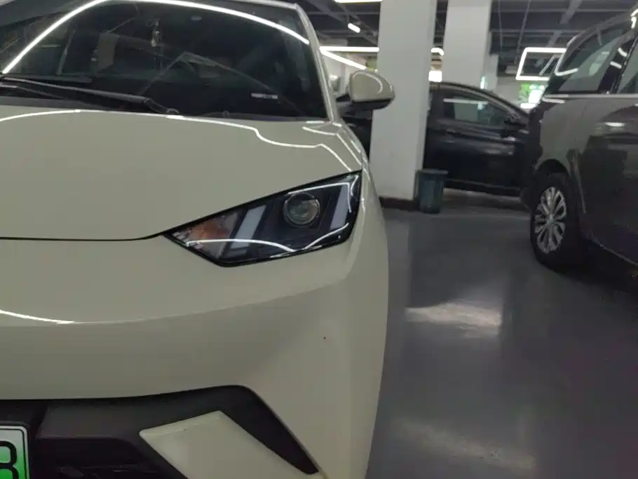 BYD Seagull 2024