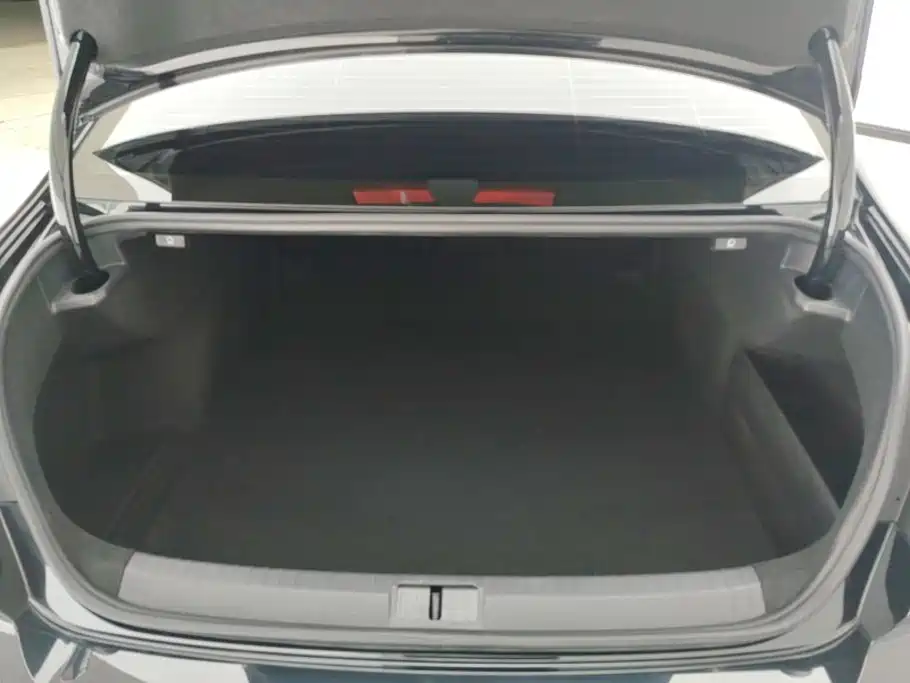 Volkswagen Magotan 2024