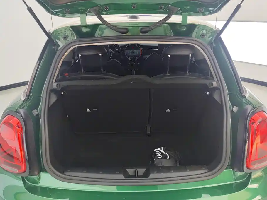 MINI MINI 2021