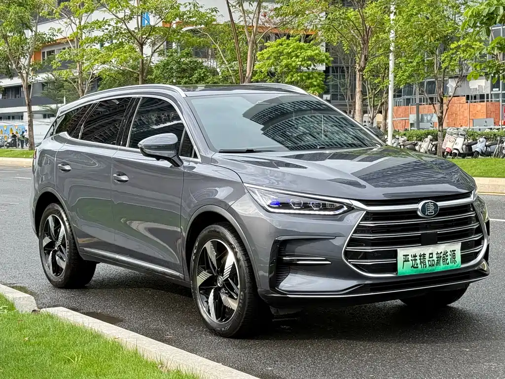 BYD Tang New Energy 2023 — фото 3