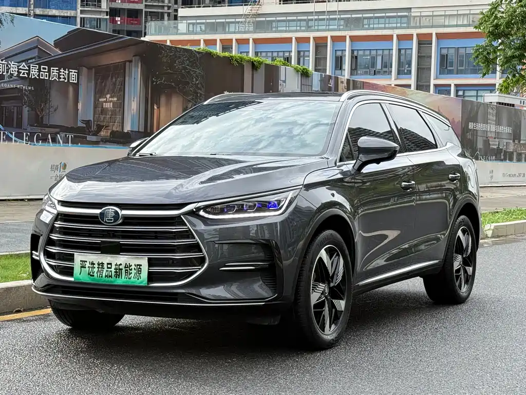 BYD Tang New Energy 2023 — фото 1