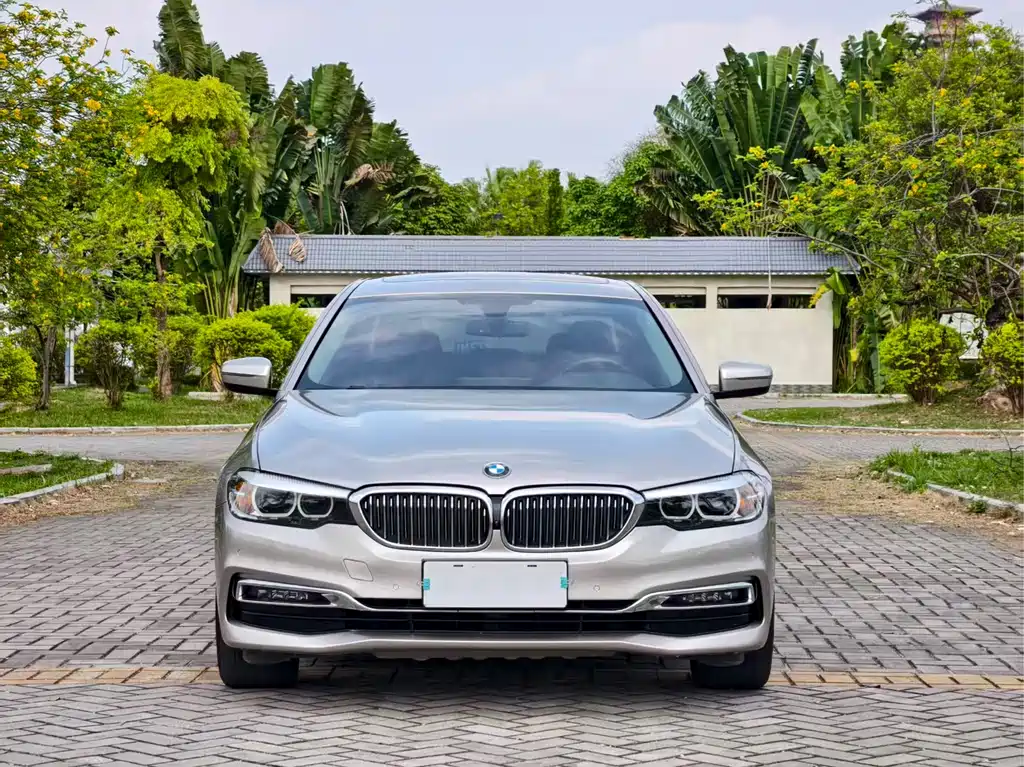 BMW 5 Series 2019 — фото 2