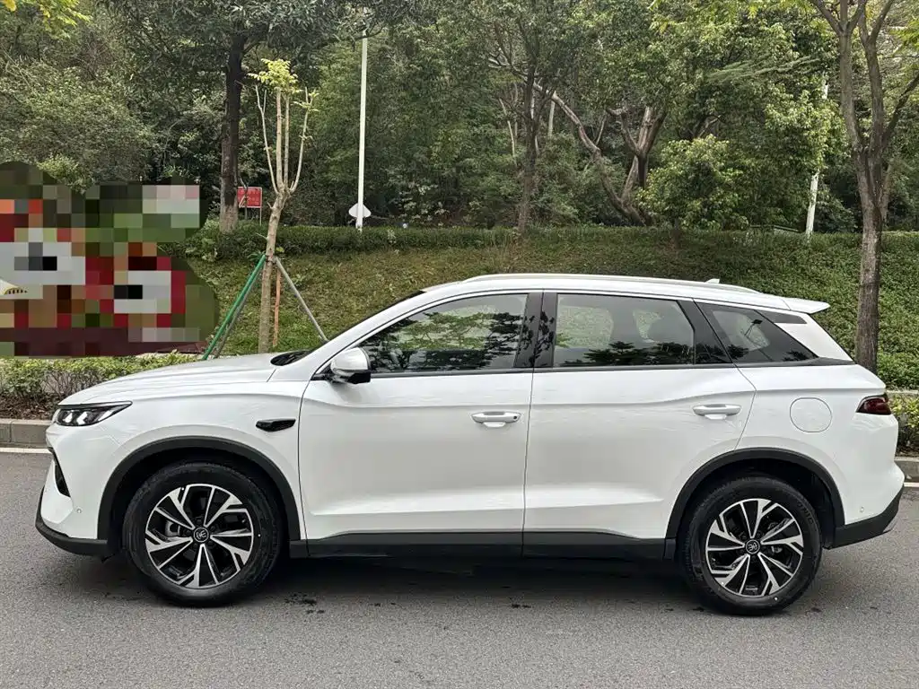 BYD Pro New Energy 2025 — фото 9