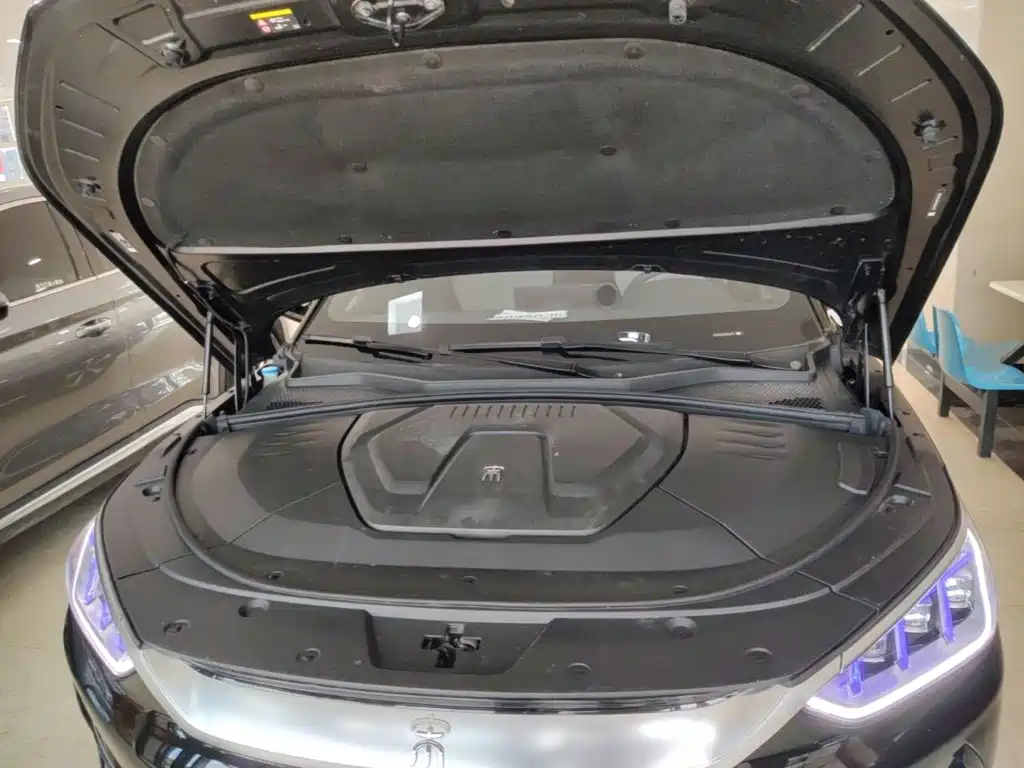 BYD Song PLUS New Energy 2021 — фото 20