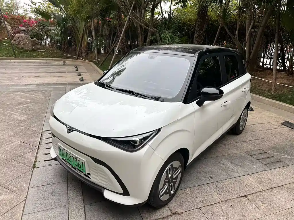 Cowin Shiyue 2025