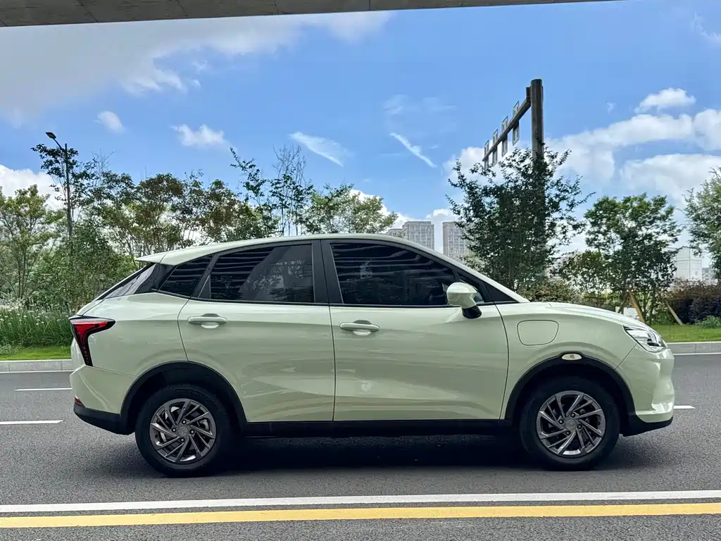 Neta V 2021