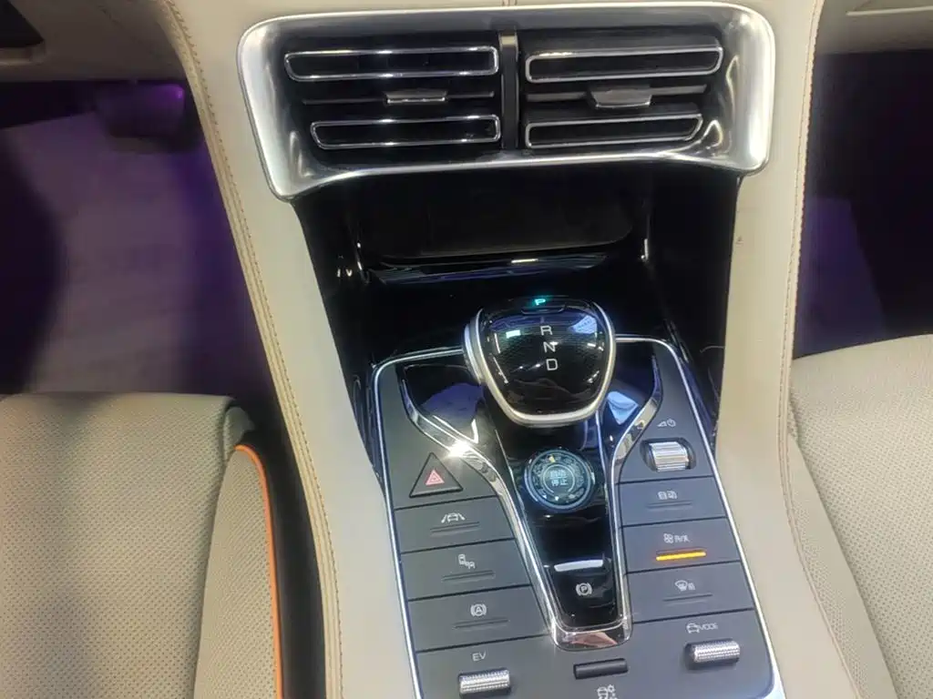 BYD Song PLUS New Energy 2022 — фото 14