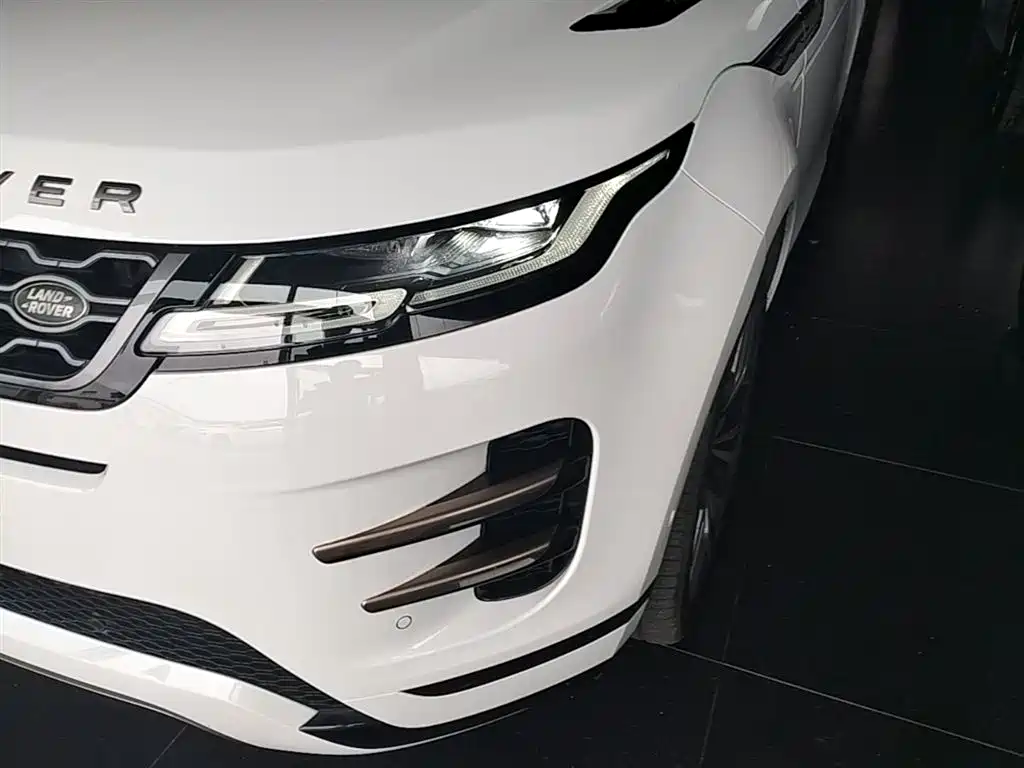 Land Rover Evoque 2020 — фото 24