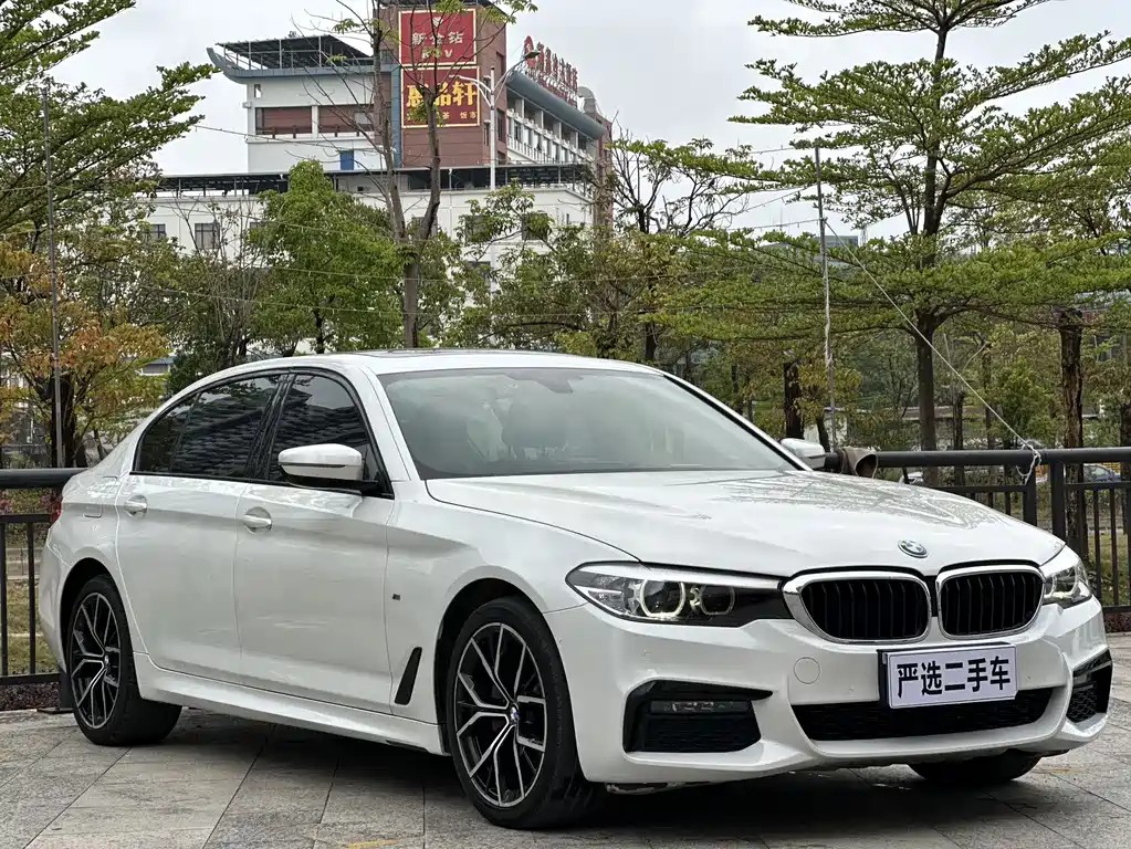 BMW 5 Series 2019 — фото 3