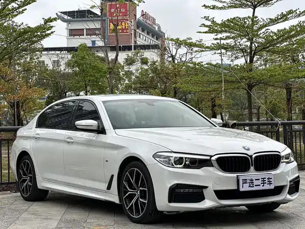 BMW 5 Series 2019