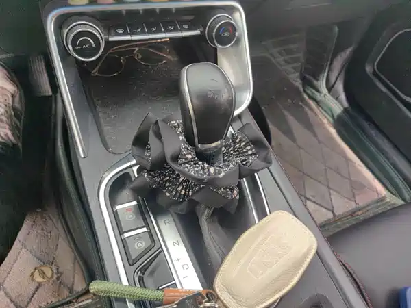Geely Binrui 2020