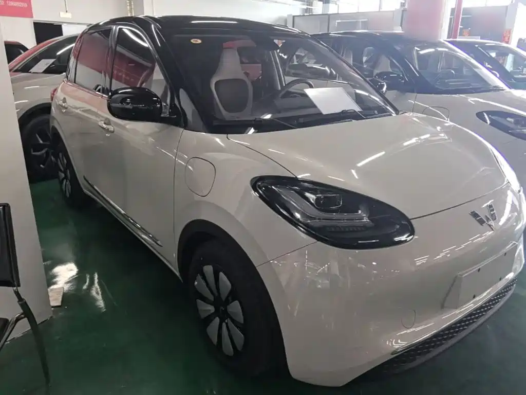 Wuling Bingo 2024