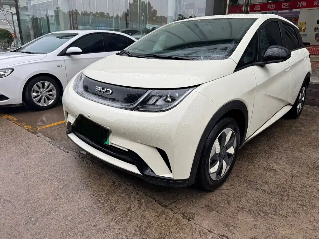 BYD Dolphin 2026