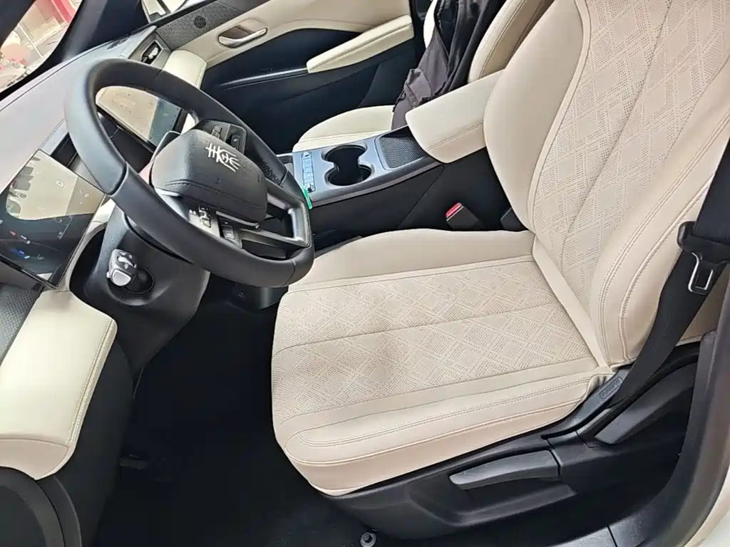 BYD Qin PLUS 2025 — фото 15