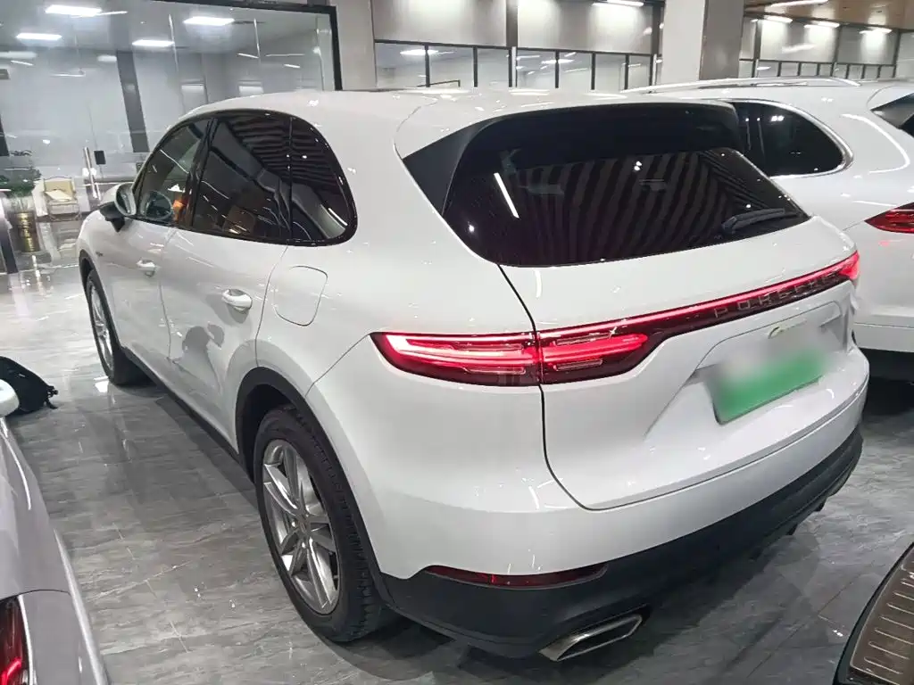 Porsche Cayenne New Energy 2021 — фото 23