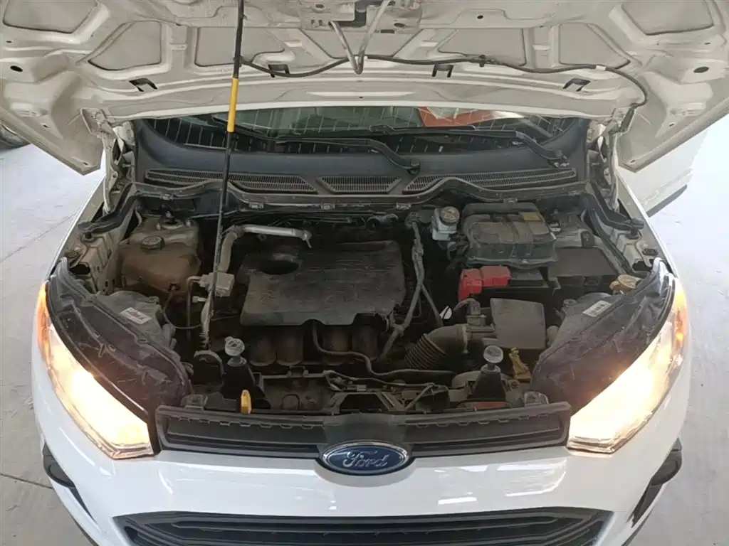 Ford Ecosport 2017 — фото 19