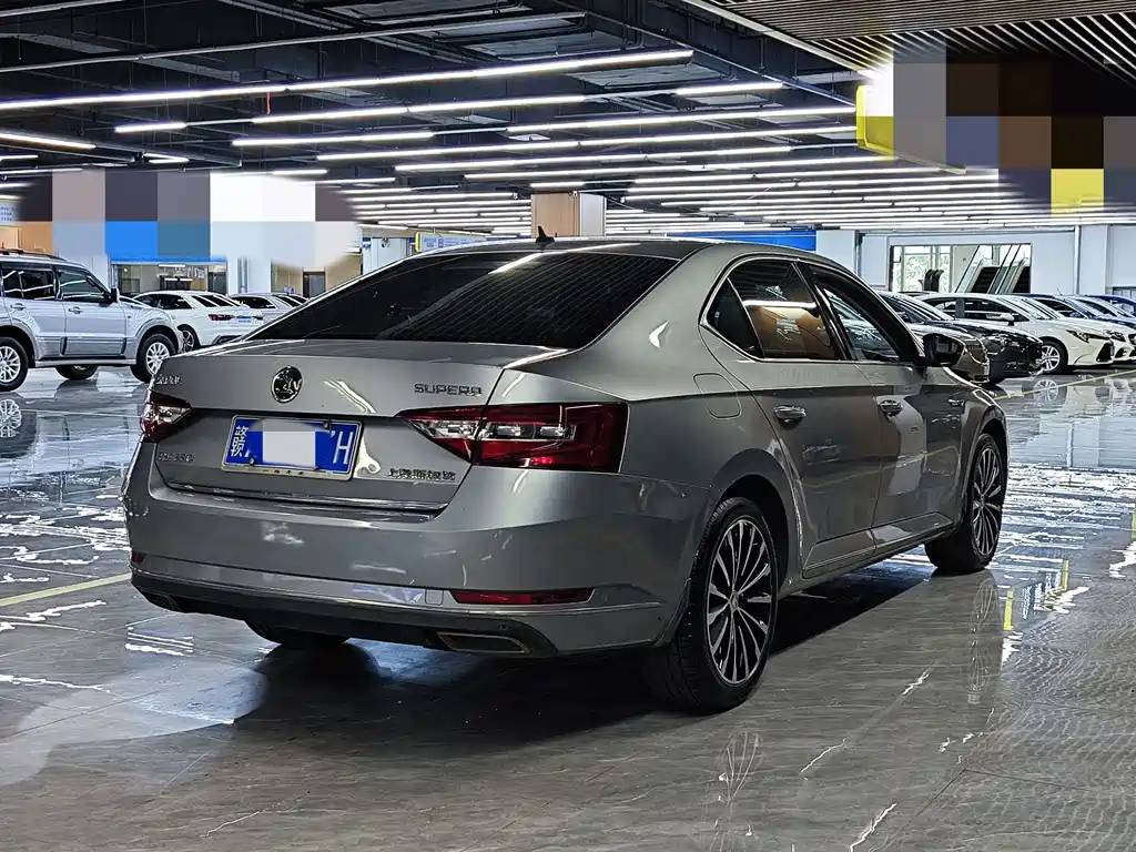 Skoda Speedy 2017