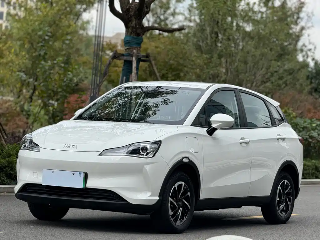 Neta V 2022
