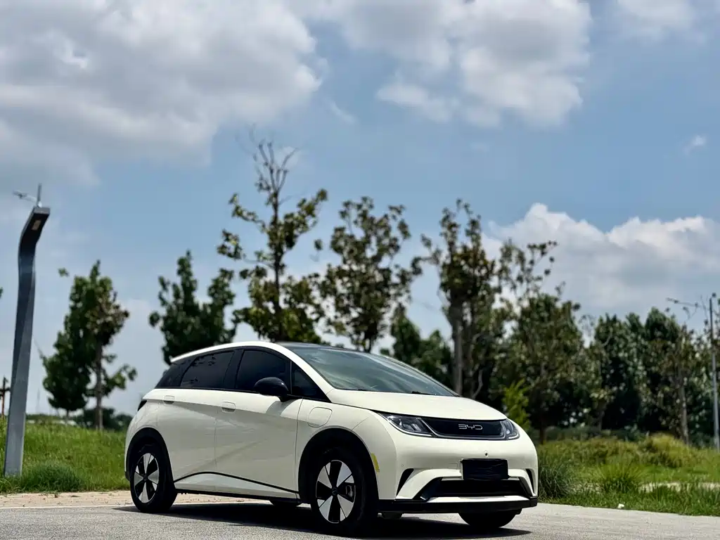 BYD Dolphin 2023