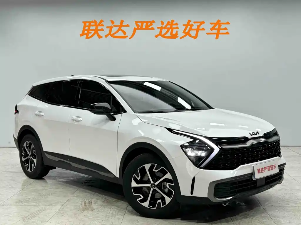 Kia Lion Platinum Expands The Boundary 2026 — фото 22