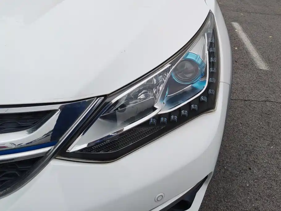 BYD New Energy 2018