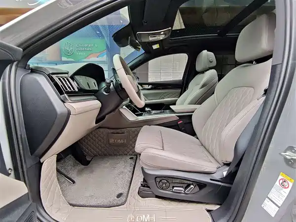 BYD Tang New Energy 2025