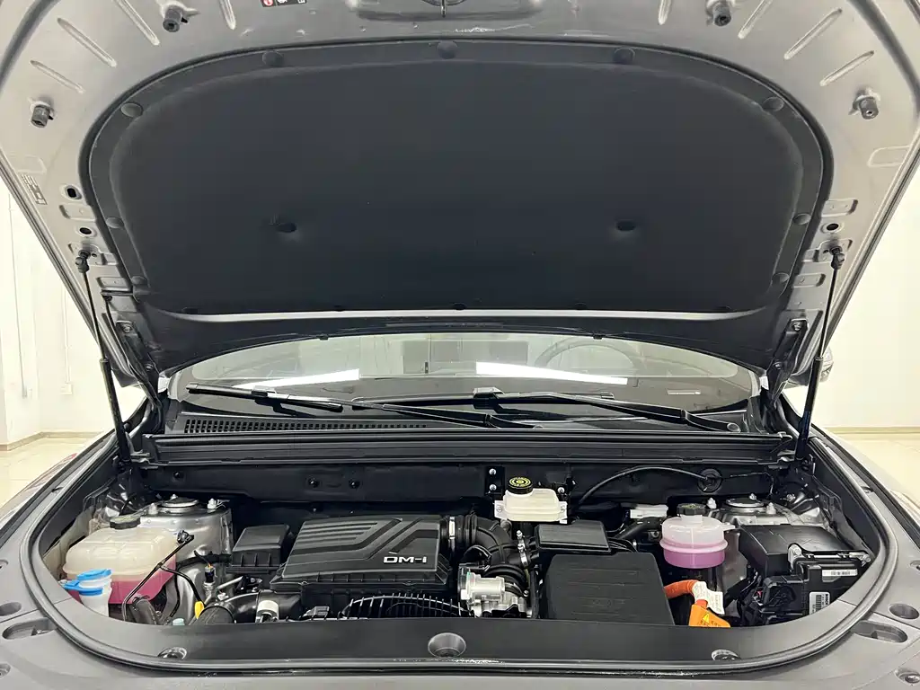 BYD Pro New Energy 2024 — фото 16
