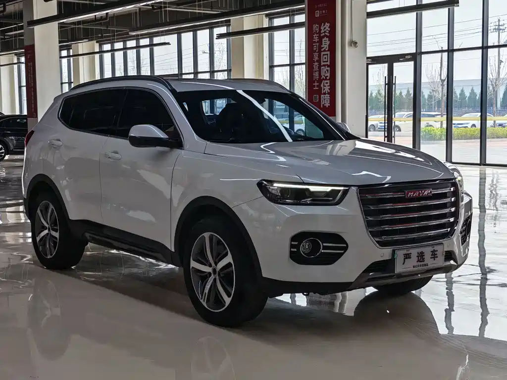 Haval H6 2017 — фото 3