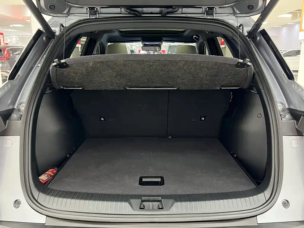 BYD Pro New Energy 2024 — фото 17