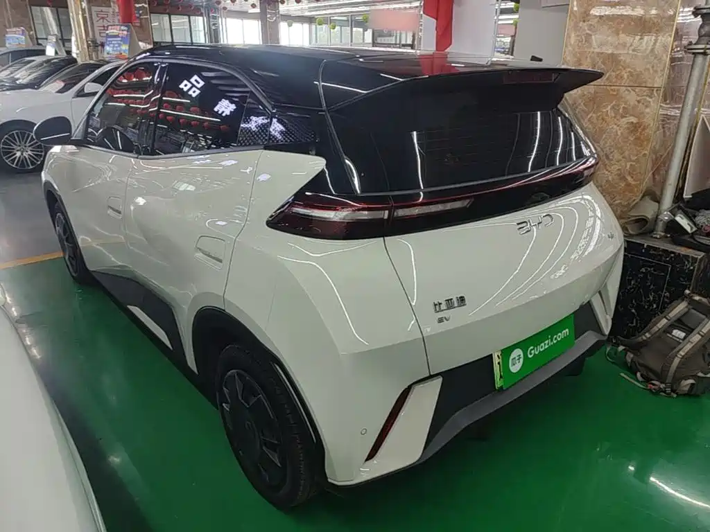 BYD Seagull 2024
