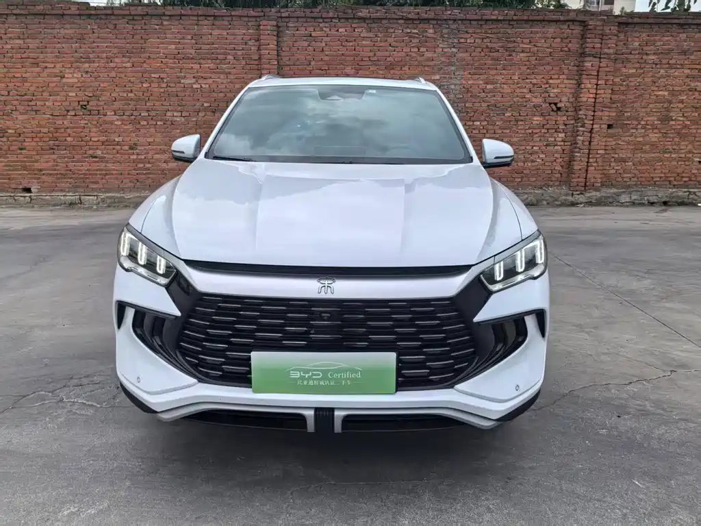 BYD Pro New Energy 2024 — фото 3