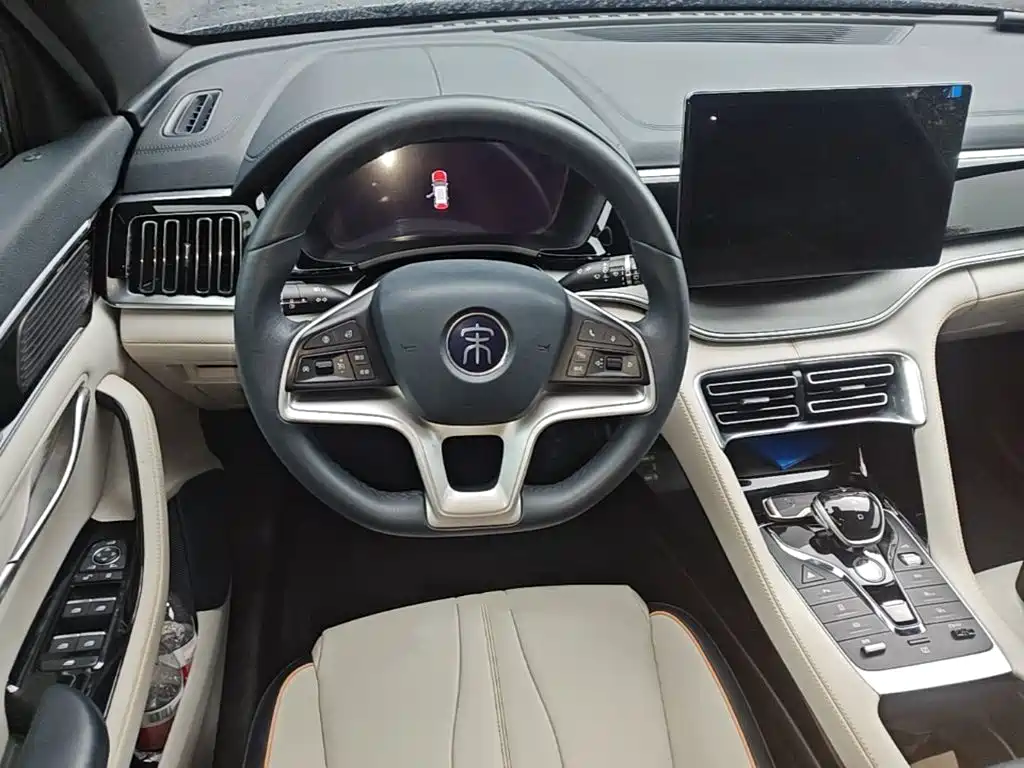 BYD Song PLUS New Energy 2021 — фото 17