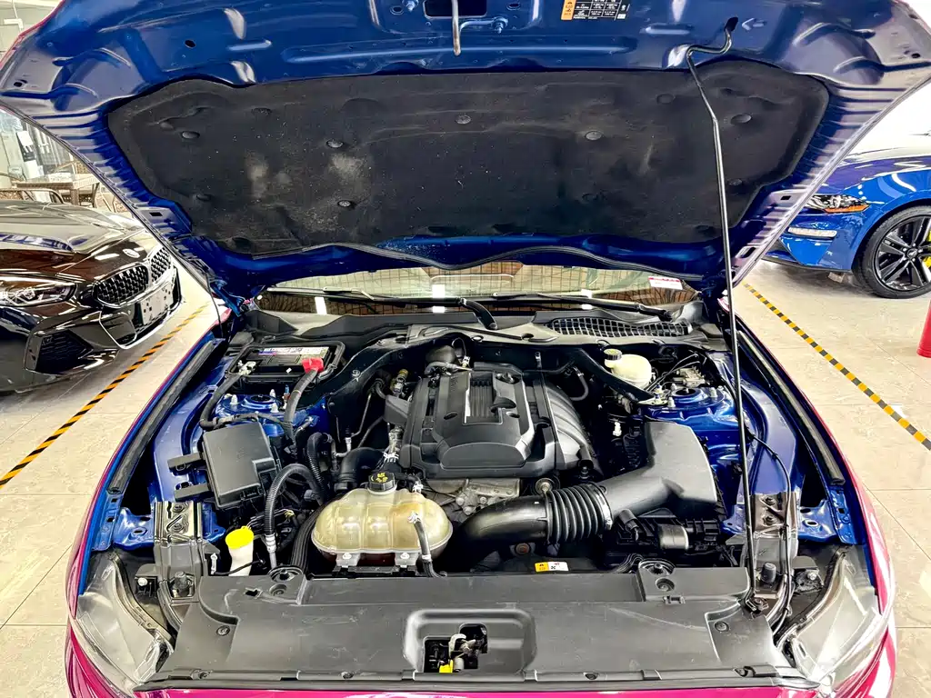 Ford Mustang 2018 — фото 9