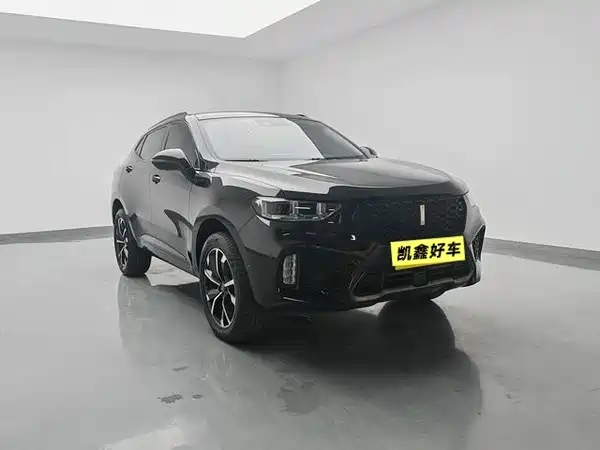Wey VV5 2019