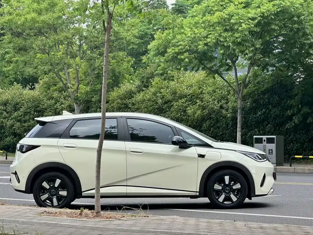 BYD Dolphin 2025