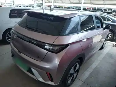 BYD Dolphin 2024