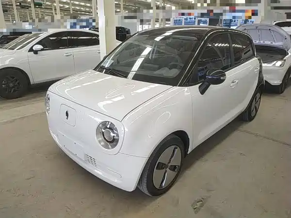 Ora Black Cat 2021