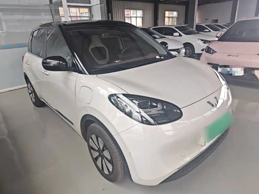 Wuling Bingo 2024
