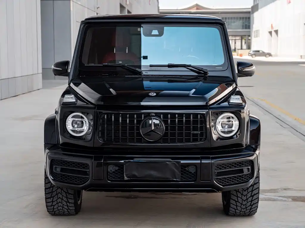 Mercedes-Benz G-Class 2019 — фото 2