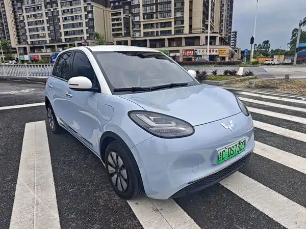 Wuling Bingo 2024