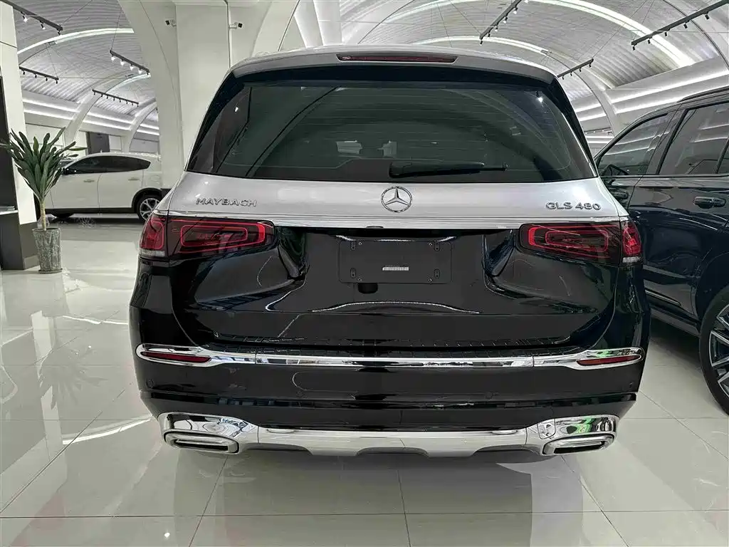 Mercedes-Benz GLS 2023 — фото 19