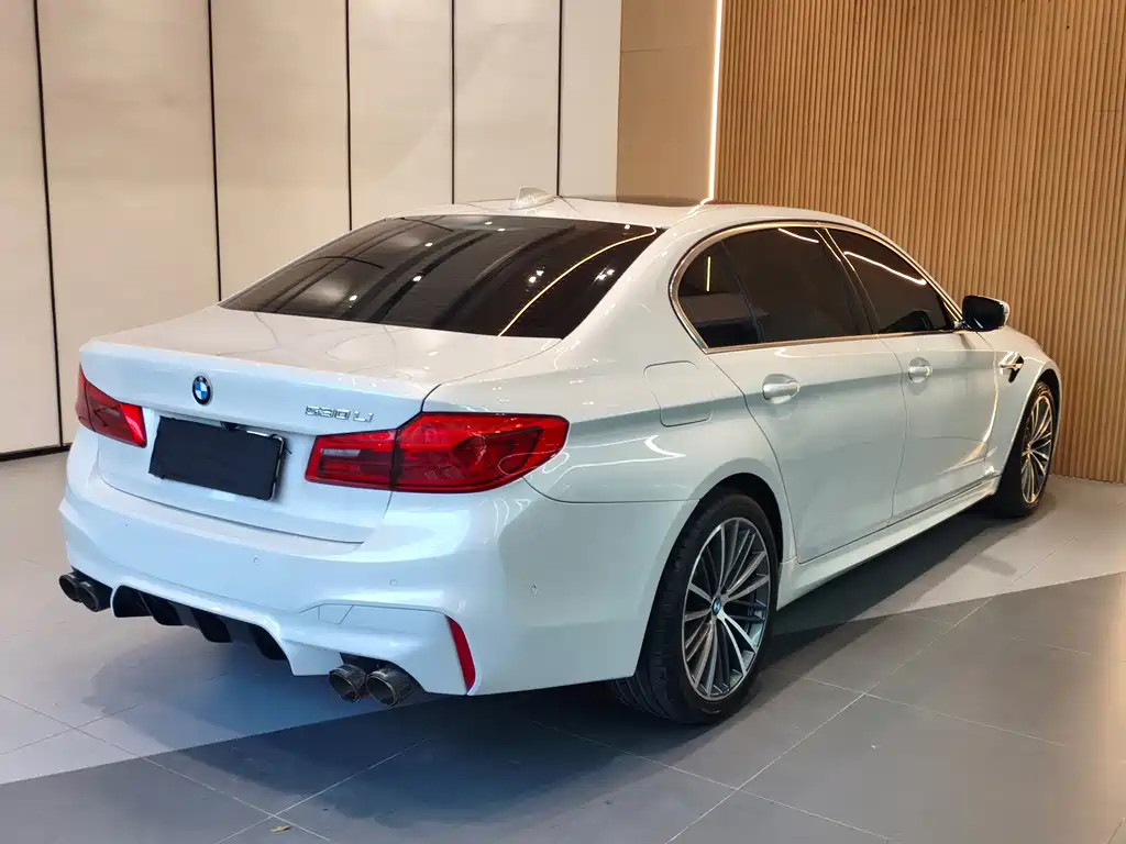 BMW 5 Series 2020 — фото 17