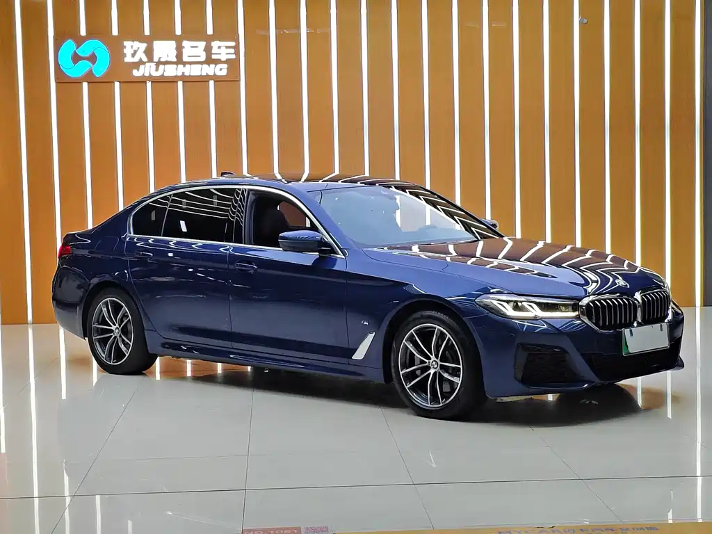BMW 5 Series New Energy 2021 — фото 3