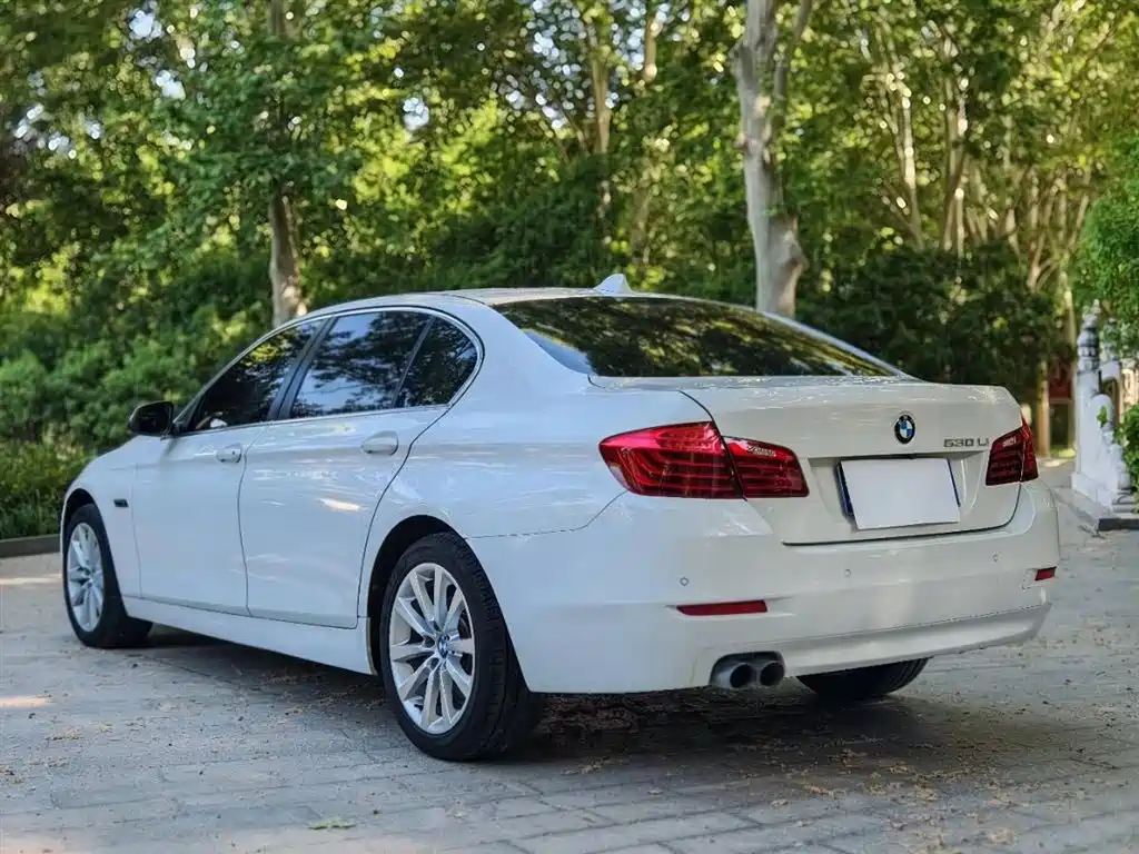 BMW 5 Series 2014