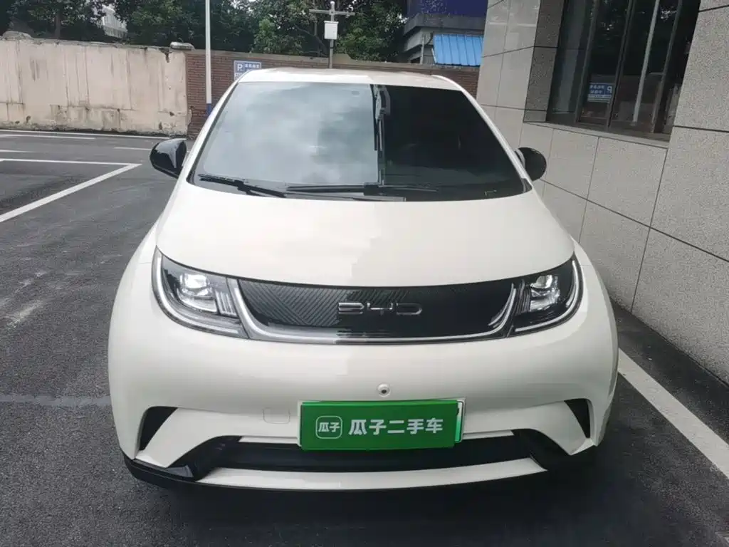 BYD Dolphin 2023