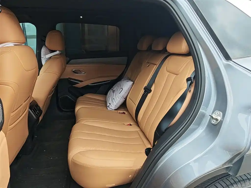 BYD L DM-i 2025 — фото 17