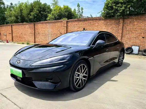 Denza Z9 2024